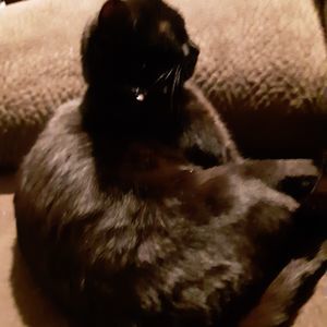 Meet your Posher, Tara